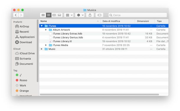 Cartella iTunes