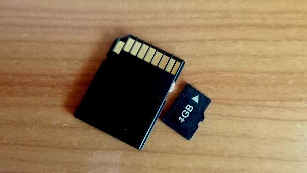 Scheda SD e microSD