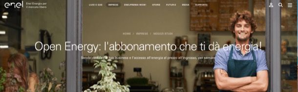 Offerte business luce
