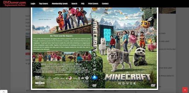 Cover DVD 
