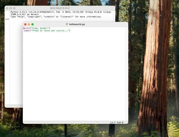 Come programmare in Python