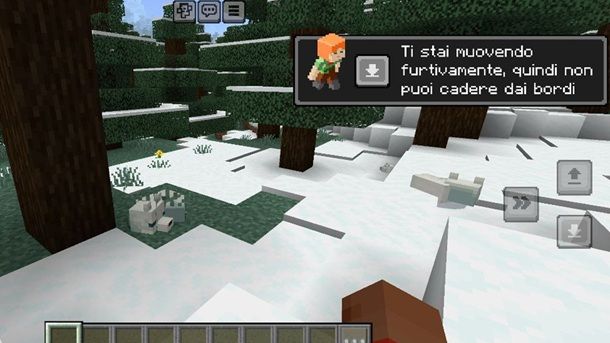 Minecraft Bedrock volpe