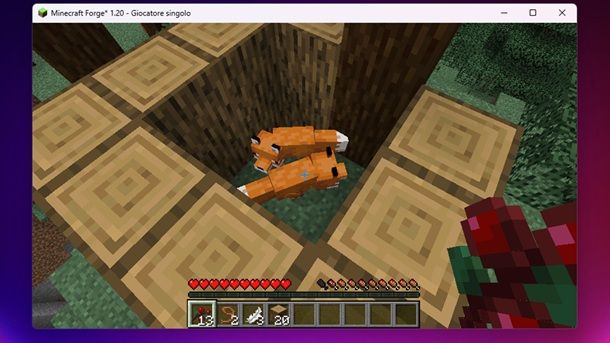 Due volpi Minecraft