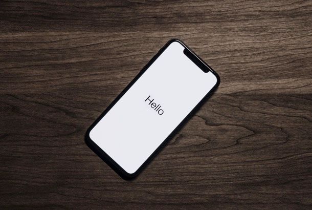 iPhone