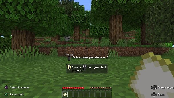 Come giocare in due su Minecraft PS4