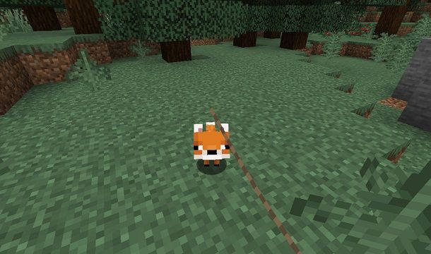 Cucciolo di Volpe su Minecraft