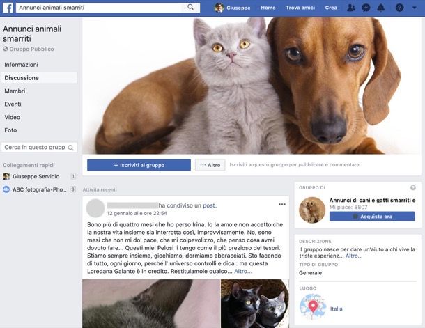 Gruppi animali smarriti Facebook