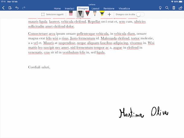 Firma Word iPad