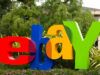 Come cercare un venditore su eBay