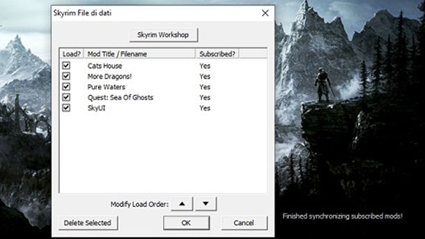 Installazione mod Skyrim