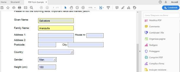 Come faccio a compilare un modulo in PDF su PC