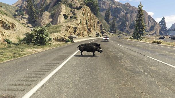 Macchine animali GTA 5