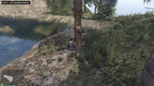 Mangiare pianta peyote GTA 5