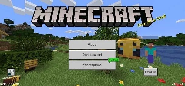 Minecraft PE