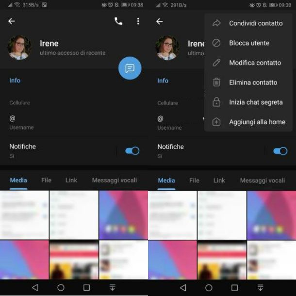 Telegram Android Chat segreta