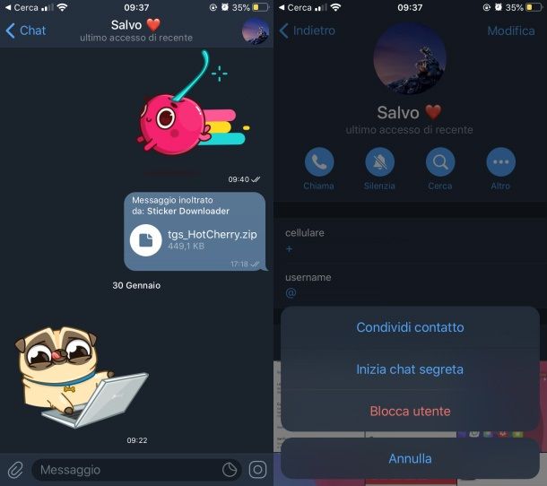 Telegram ios chat segreta