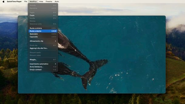 Ruotare video QuickTime Player