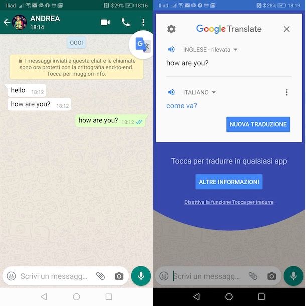 Come usare Google Traduttore su WhatsApp