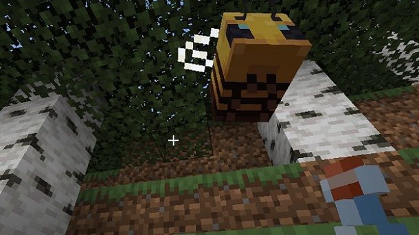 Miele Minecraft