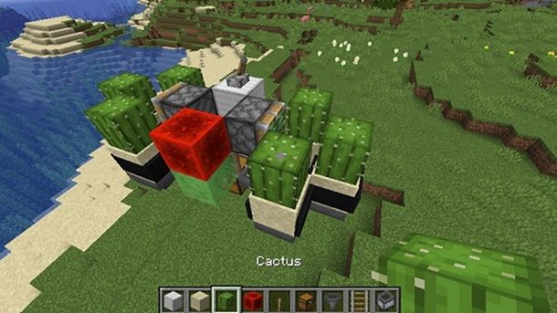 Cactus Minecraft
