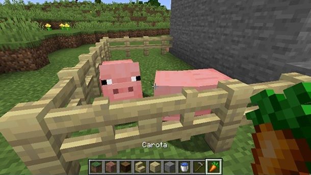 Carota Minecraft cancelletto