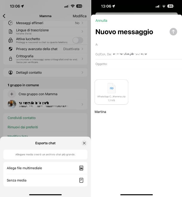 WhatsApp iPhone