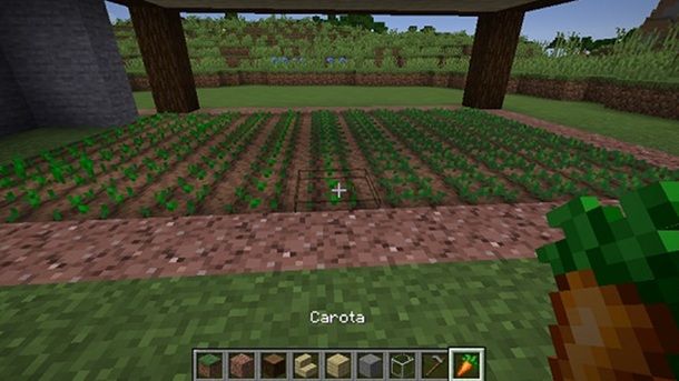 Carota Minecraft