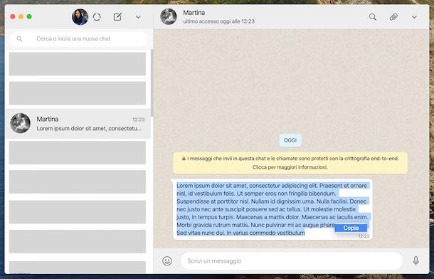 Copiare messaggi WhatsApp su PC