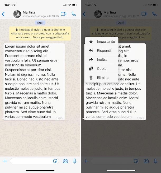 Copiare messaggi WhatsApp su iPhone