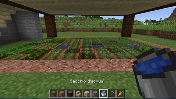 Secchio d'acqua Minecraft