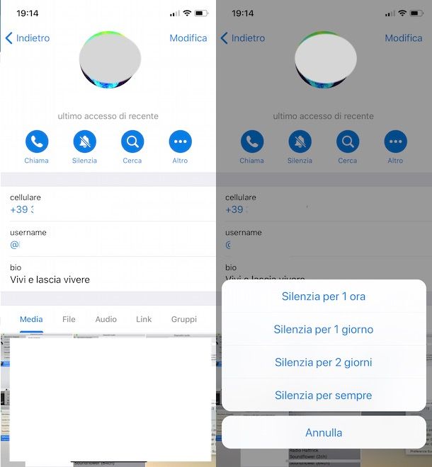 Silenziare notifiche Telegram singola chat