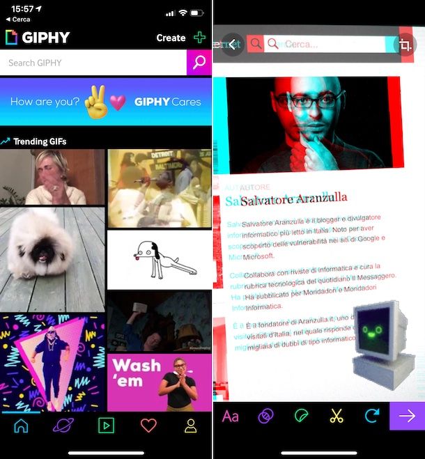 GIPHY