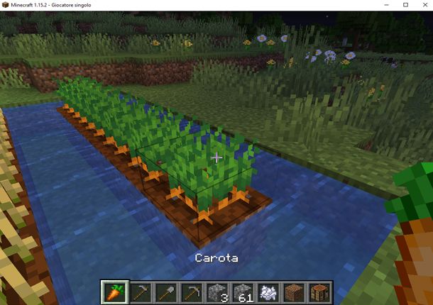 Coltiva le carote in Minecraft