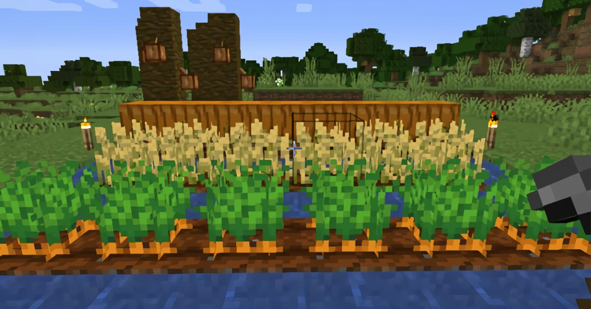 Come Coltivare Su Minecraft Salvatore Aranzulla Hot Sex Picture