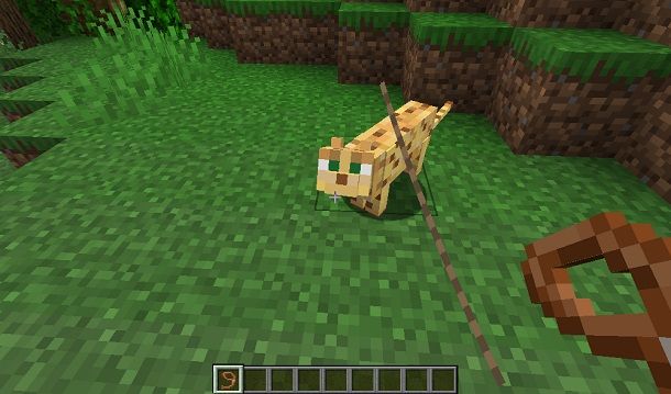 Portare animale al guinzaglio su Minecraft