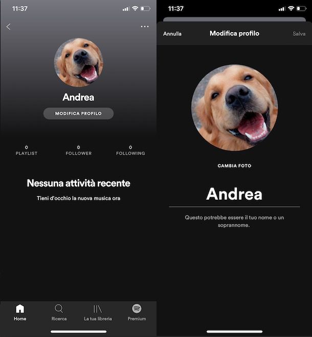 come cambiare immagine profilo Spotify da iPhone