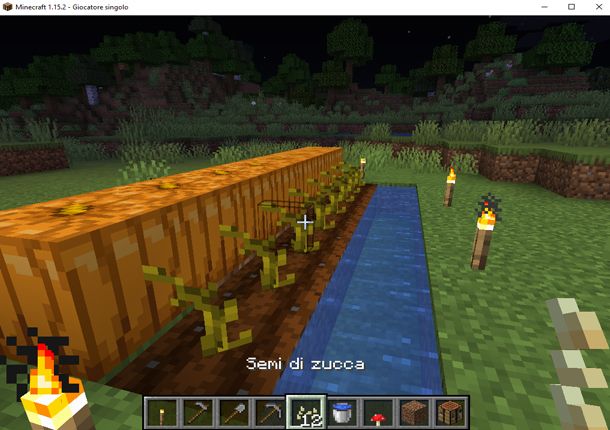 Coltiva le zucche in Minecraft