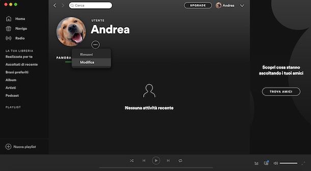 Come cambiare immagine profilo Spotify da computer