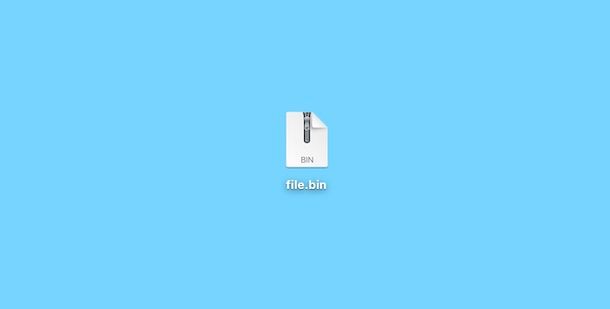 File BIN online