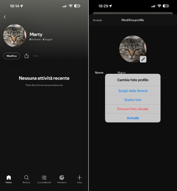 Spotify iPhone