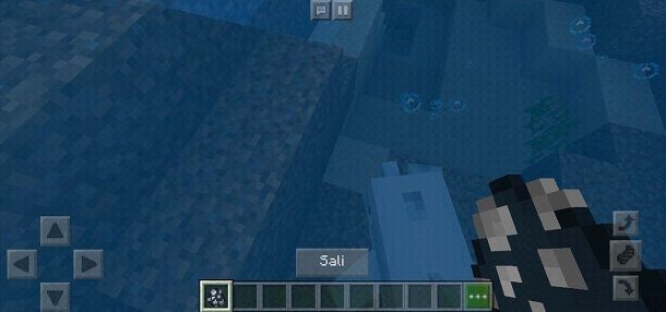 Sali delfino Minecraft