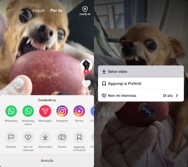 Come salvare i video di TikTok Salvatore Aranzulla