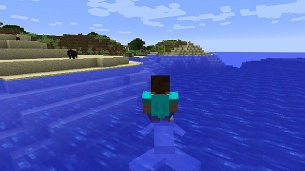 Cavalcare delfino Minecraft