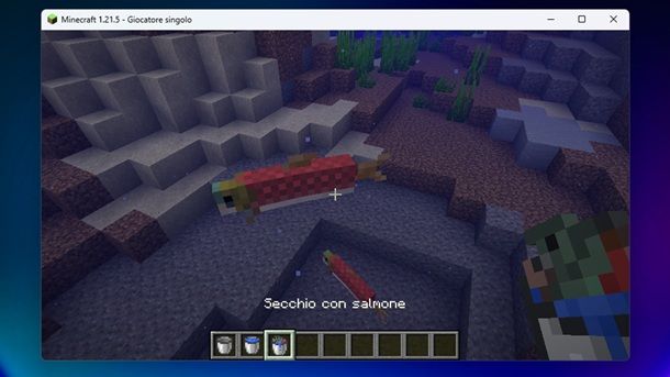 Informazioni preliminari secchio pesci