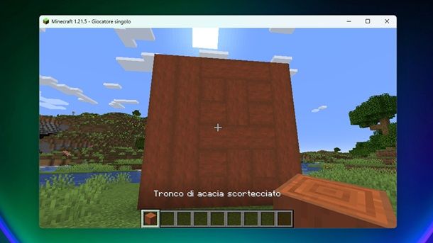 Muro acquario Minecraft