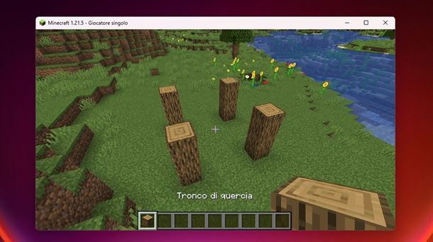Tronco di quercia Minecraft