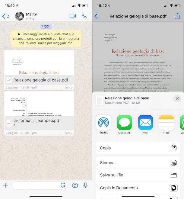 Documenti WhatsApp iPhone