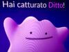 Come trovare Ditto su Pokémon GO