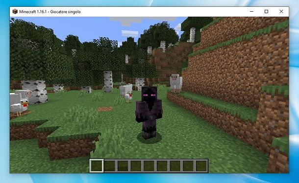 Cloacked Enderman Minecraft