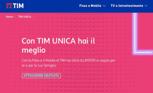 TIM UNICA